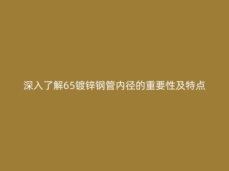 深入了解65鍍鋅鋼管內徑的重要性及特點