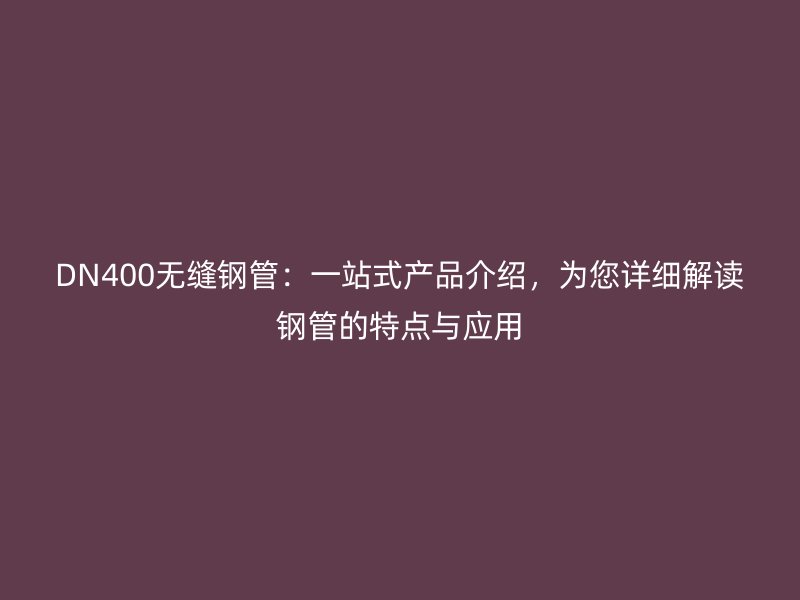 DN400無縫鋼管：一站式產品介紹，為您詳細解讀鋼管的特點與應用